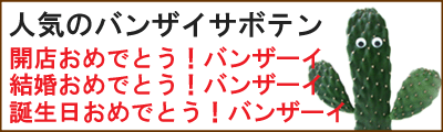 t-banzai.gif